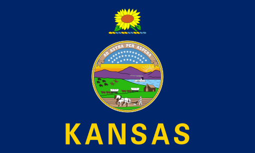 Kansas LLC Formation: A Comprehensive Guide