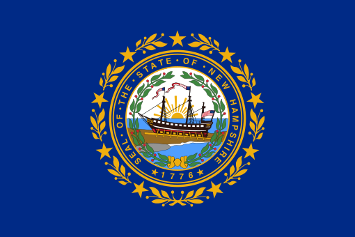 New Hampshire LLC Formation: A Start-Up Guide