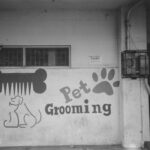 a black and white photo of a pet grooming sign