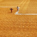 a couple of people that are standing in the dirt