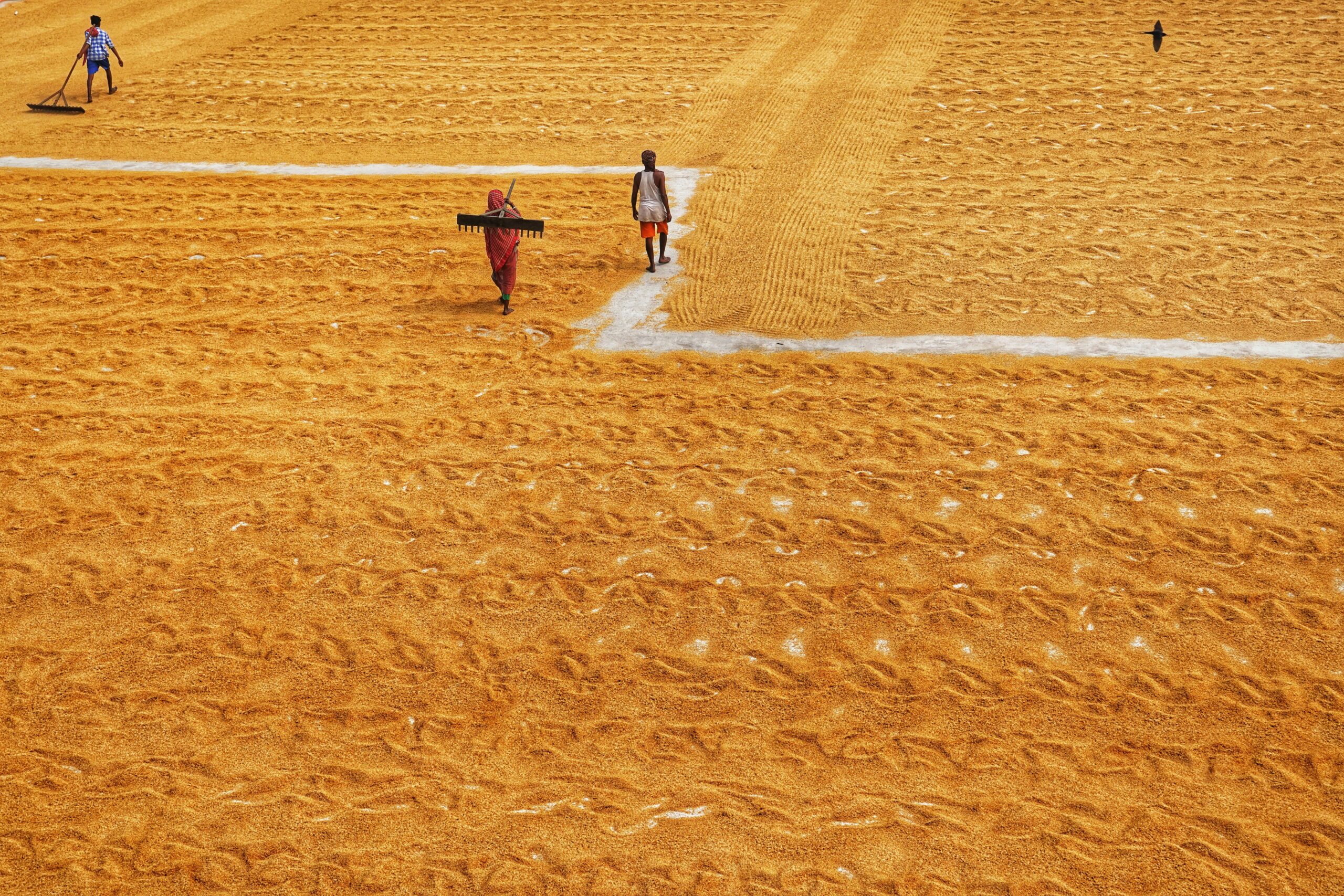 a couple of people that are standing in the dirt